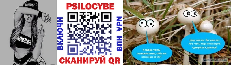 Галлюциногенные грибы Magic Shrooms Копейск